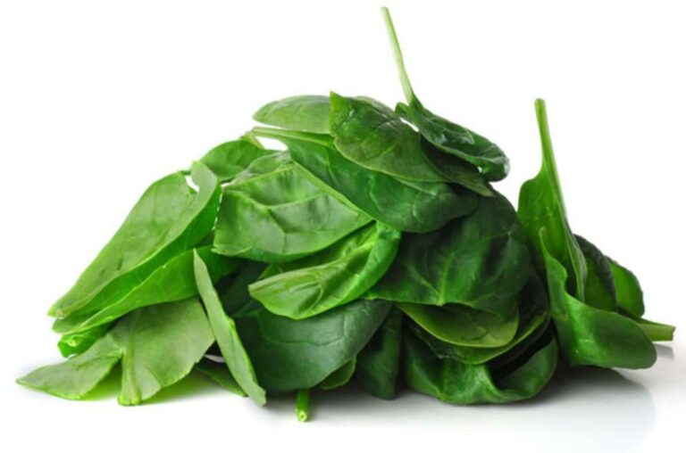 cuisson épinards frais à l'eau