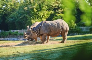 plus beau zoo du monde
