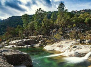 piscine naturelle zoza